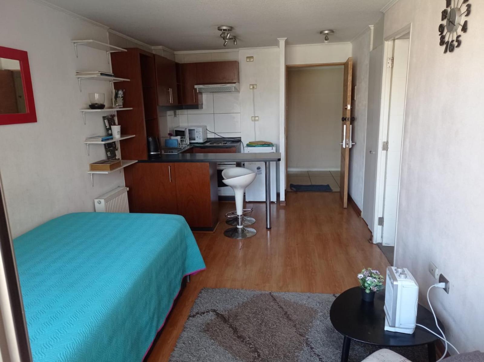Centrico Departamento En Santiago Apartment — Fotos 3